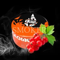 black burn tobacco Red Currant
