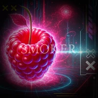 Cyber Error 404 raspberry