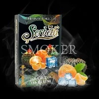 serbetli ice cactus tangerine