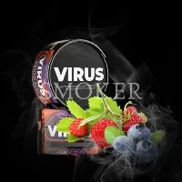 Virus Земляника Голубика